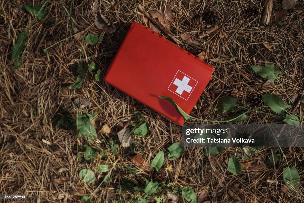 Photo of red first aid kit box lying on pine-needle covered earth