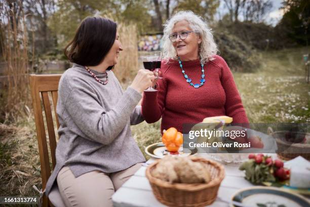 female friends clinking wine glasses at garden table - bell pepper field stock pictures, royalty-free photos & images