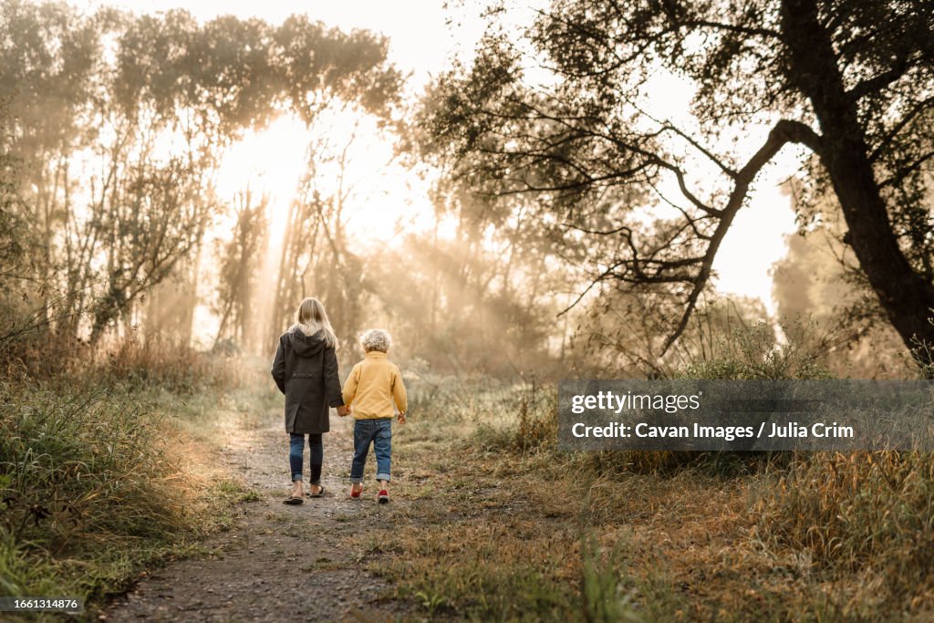 Siblings holding hands on forest path on a foggy morning