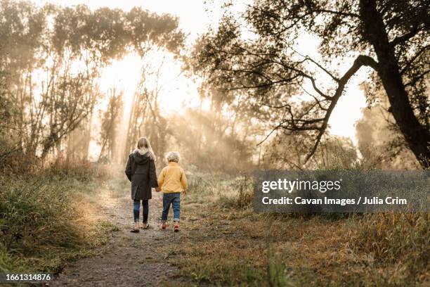 siblings holding hands on forest path on a foggy morning - kids kindness stock pictures, royalty-free photos & images
