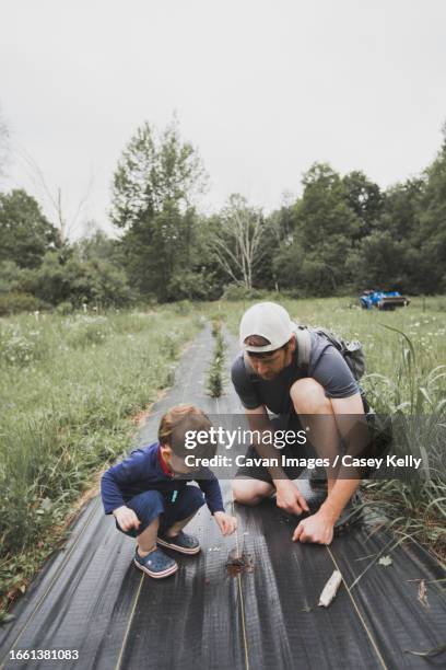 father and son bending down to plant seeds - casey kelly stock pictures, royalty-free photos & images