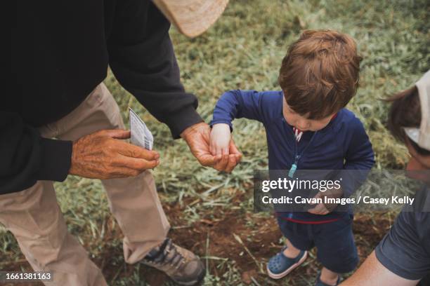 little boy taking seeds from grandpa to plant - casey kelly stock pictures, royalty-free photos & images