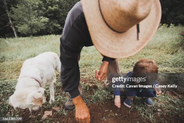 farmer with dog and grandson planting seeds - casey kelly stock pictures, royalty-free photos & images