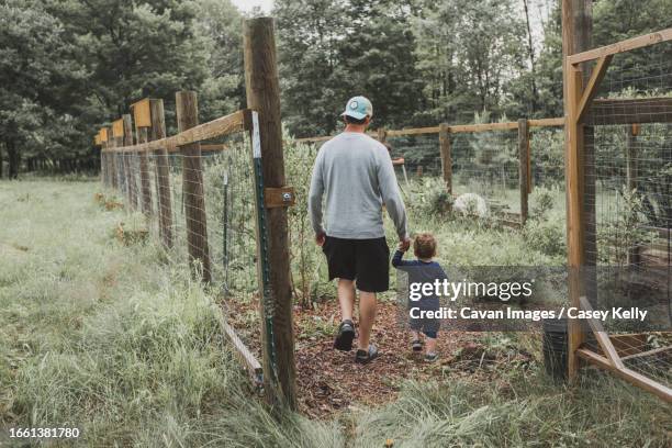 father and son walking into fenced blueberry patch - casey kelly stock pictures, royalty-free photos & images