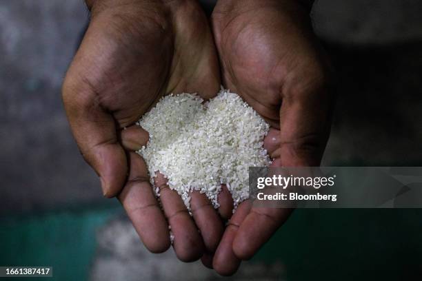 Damaged Kernels Rice Rice Processing Photos and Premium High Res Pictures - Getty Images