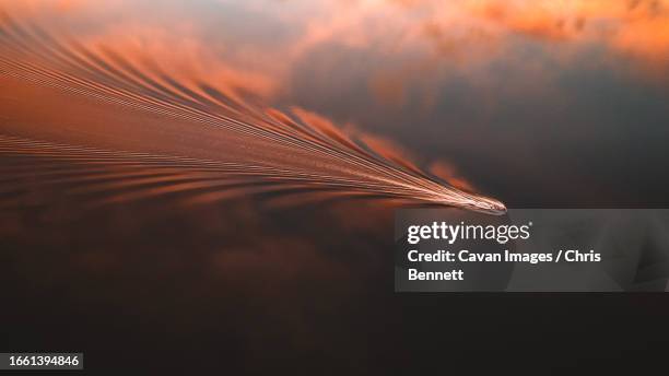 Wake Ripples 6 107 Smooth Water Ripple Stock Photos, High-Res Pictures, and Images ...