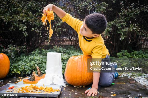 close up of young boy dangling pumpkin pulp and seeds in hand - ugly pumpkins fotografías e imágenes de stock