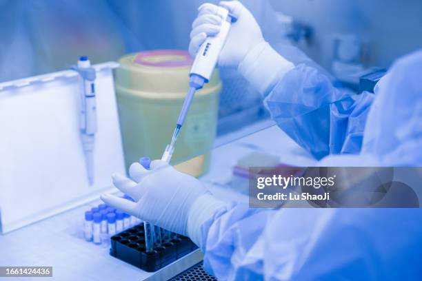 the scientist experimented in the laboratory. - centro per il controllo e la prevenzione delle malattie foto e immagini stock