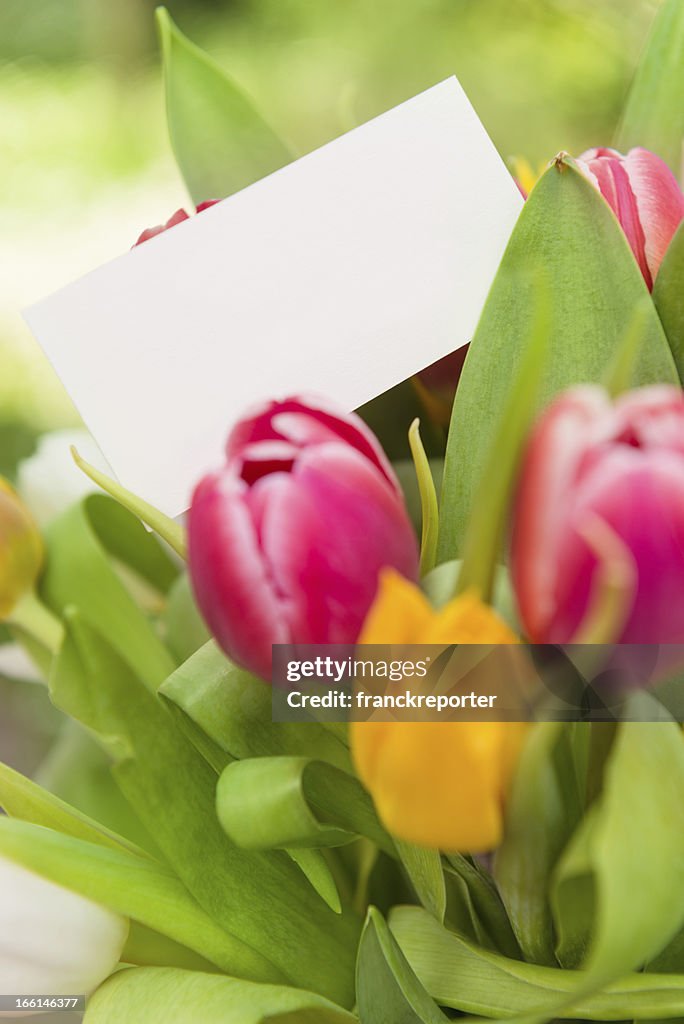 Bouquet de flores com Cartão de Saudações