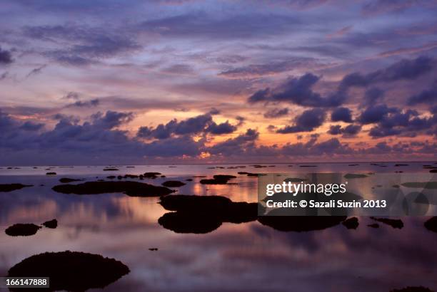 Suzin 41 Suzin Stock Photos, High-Res Pictures, and Images - Getty Images