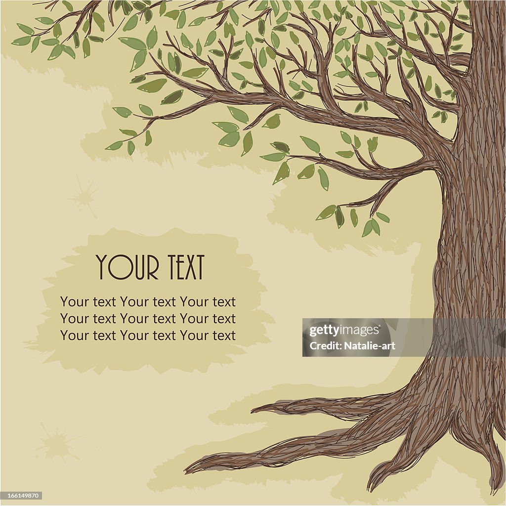 Tree Text Display Hand Drawn Tree With Space For Text High-Res Vector Graphic - Getty Images