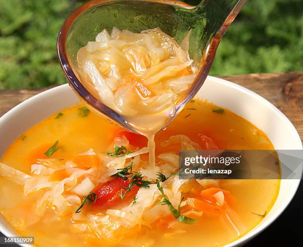 ruso sopa schi col - cabbage family fotografías e imágenes de stock