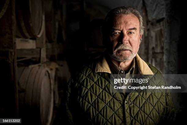 bearded mand in wine cellar - cellar stockfoto's en -beelden