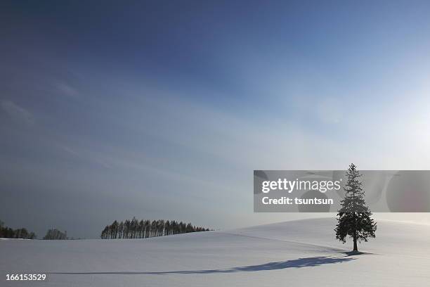 long shadow - sombra larga sombra fotografías e imágenes de stock