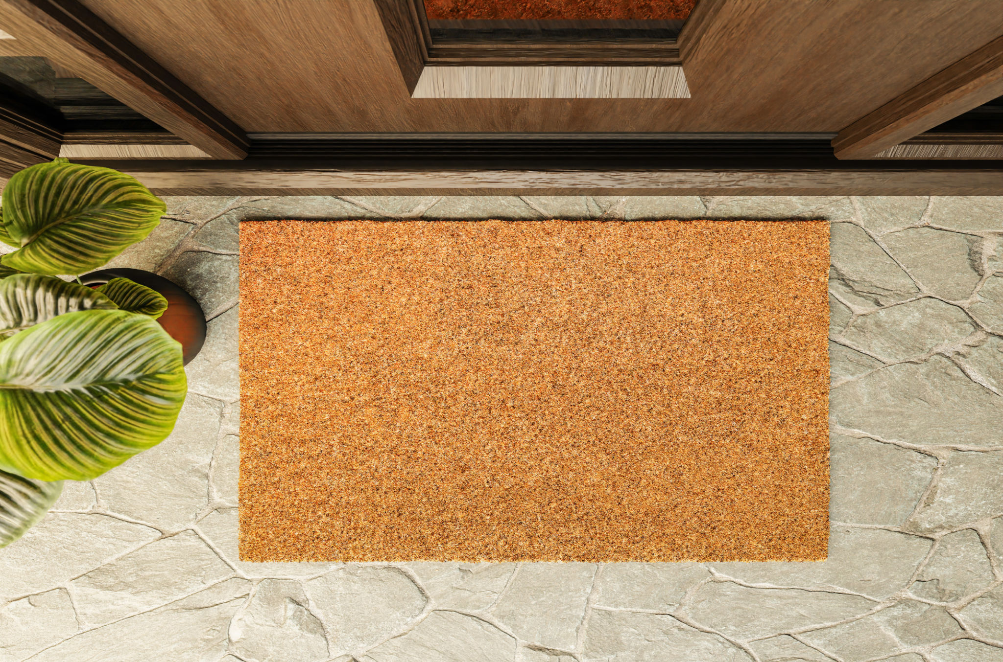 doormat entrance
