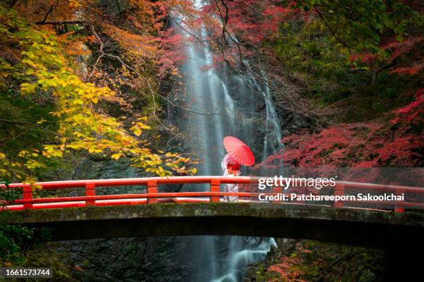 autumn trip - female with umbrella stock-fotos und bilder