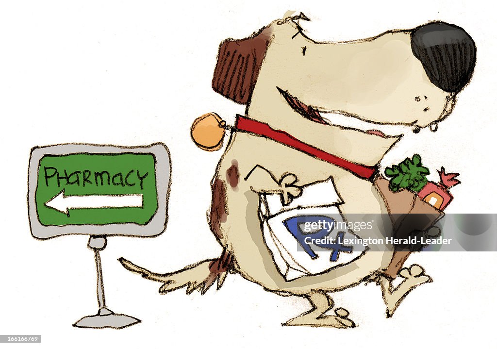ILLUSTRATION: Pharmacy Dog