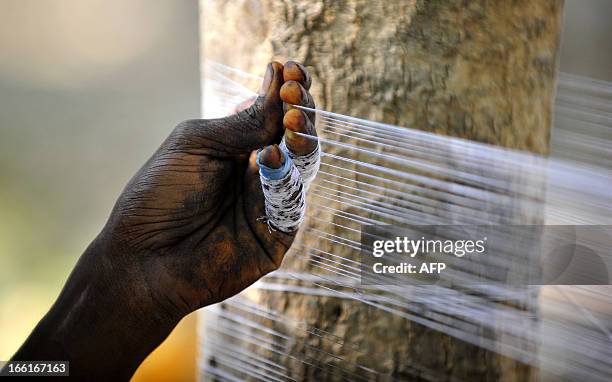 Manja (Kite) Photos and Premium High Res Pictures - Getty Images