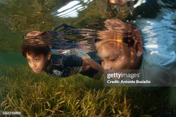 children swimming over seagrass - algae stock pictures, royalty-free photos & images