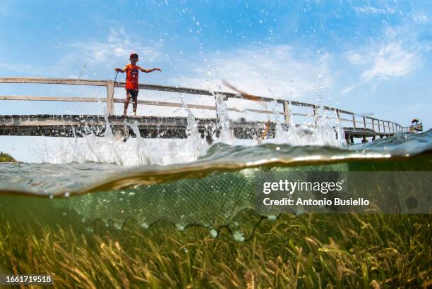 child throwing a cast net in seagrass - aquatic plant stock pictures, royalty-free photos & images