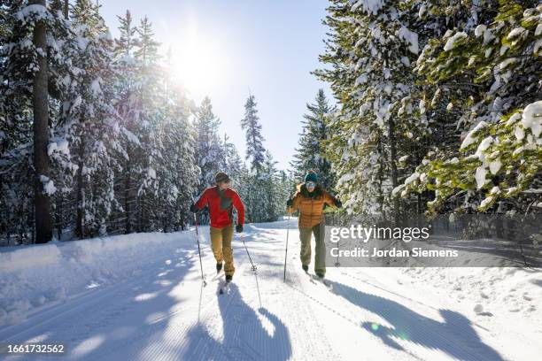 a couple cross country skiing on a beautiful winter day. - skiing and snowboarding stockfoto's en -beelden