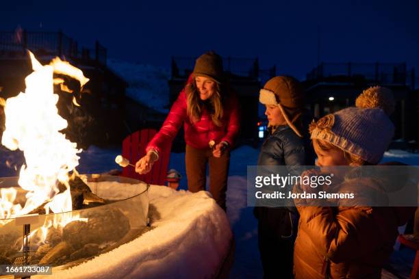 a family roasting marshmallows over a fire. - hot american girl stock pictures, royalty-free photos & images