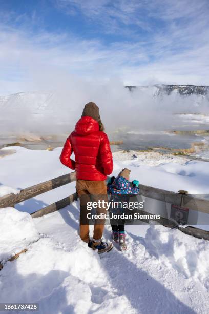 a family walking a boardwalk leading to hot springs in yellowstone national park - hot american girl stock pictures, royalty-free photos & images