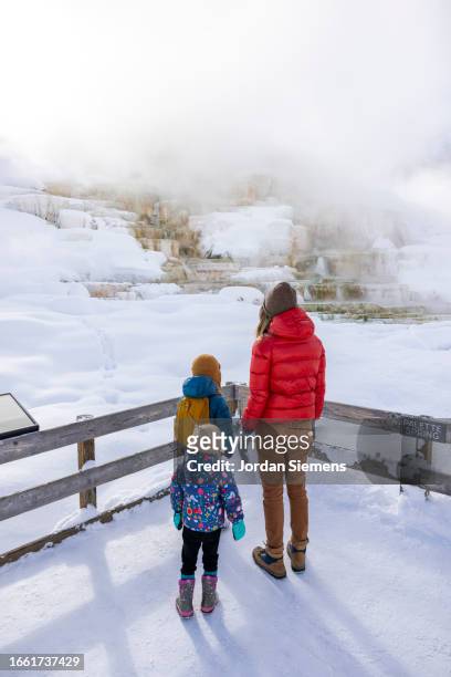 a family walking a boardwalk leading to hot springs in yellowstone national park - hot american girl stock pictures, royalty-free photos & images