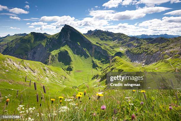 view on mt. red lace, tannheimer berge, tyrol, austria - lech austria stock pictures, royalty-free photos & images