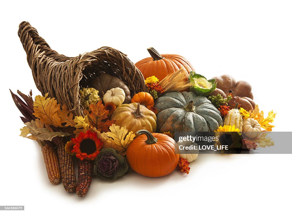 Cornucopia