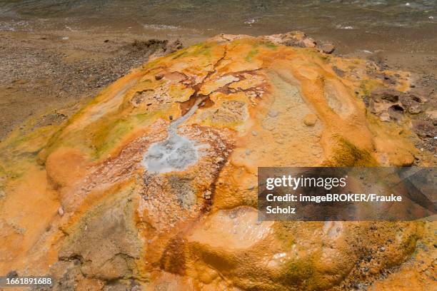 Edipsos 28 Edipsos Stock Photos, High-Res Pictures, and Images - Getty Images