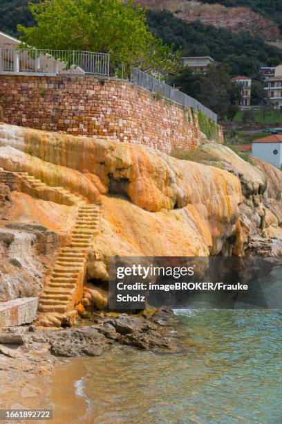 Edipsos 28 Edipsos Stock Photos, High-Res Pictures, and Images - Getty Images
