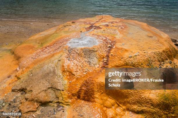 Edipsos 28 Edipsos Stock Photos, High-Res Pictures, and Images - Getty Images