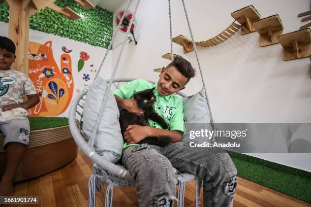 Boy pets a kitten at the 'Miao' cafe in Khan Younis, Gaza on August 28, 2023. Customers who come to Miao cafe, which provides visitors with the...