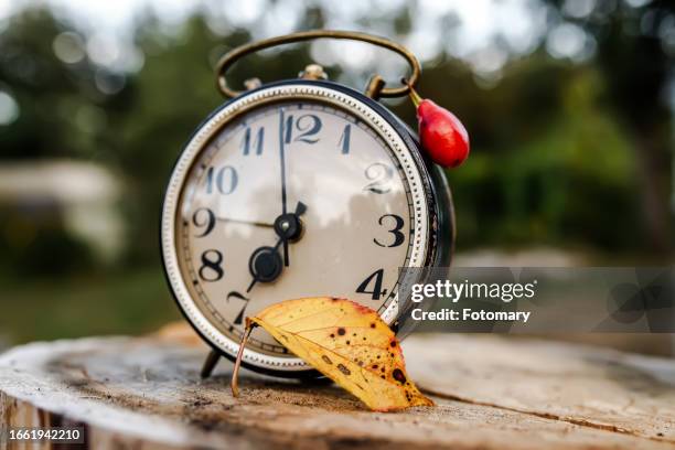 autumn time. clock with red berry and yellow leaves on stump in city park - initiation ceremony stock pictures, royalty-free photos & images