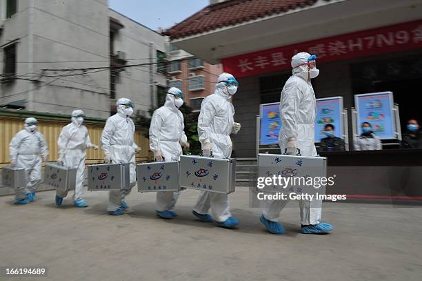 Medical workers take part in a drill that simulates human infection of the H7N9 bird flu virus on April 9, 2013 in Hefei, China. Four new H7N9 avian...