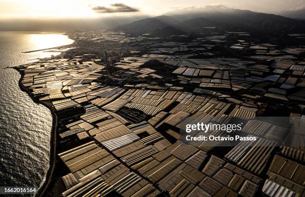 An aerial view of the greenhouses near Adra on September 8, 2023 in Almeria, Spain. The transparent plastic greenhouses intensify the heat and...