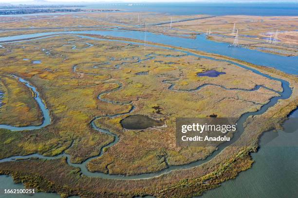 An aerial view of Bair Island in Redwood City, California, United States on September 7, 2023. Bair Island is a marsh area covering 3,000 acres, and...