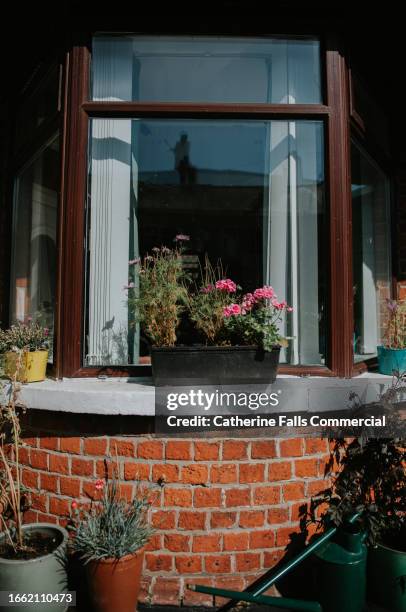 a stylish bay window with double glazing - modern living bricks stock pictures, royalty-free photos & images