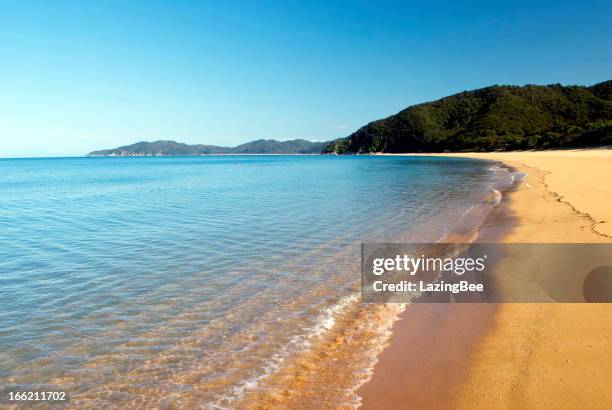 totaranui seascape, abel tasman national park, new zealand - nelson regio nieuw zeeland stockfoto's en -beelden