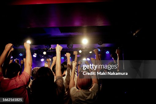 Cheering fans raising their arms in concert. Cheering fans raising their arms in concert.