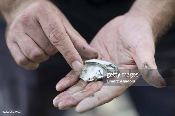 Man shows an object he unearthed from the Thames River bed after the water retreats in London, United Kingdom on September 11, 2023. For centuries,...