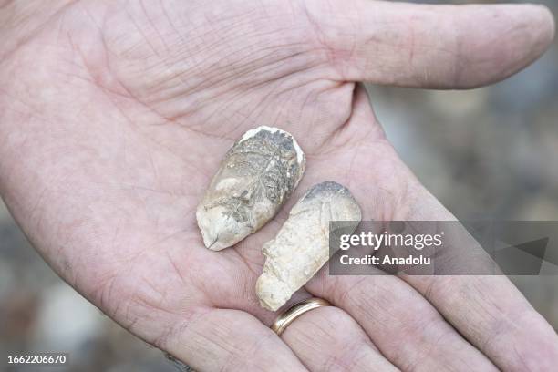 Man shows an object he unearthed from the Thames River bed after the water retreats in London, United Kingdom on September 11, 2023. For centuries,...