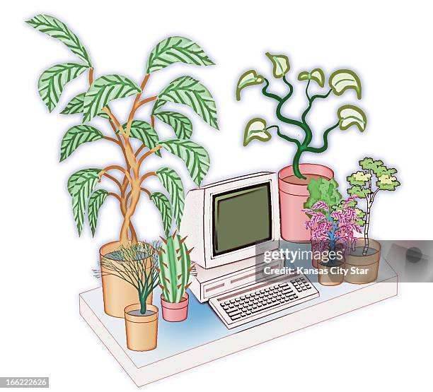 Noah Musser illustration of desk with computer surrounded by plants.