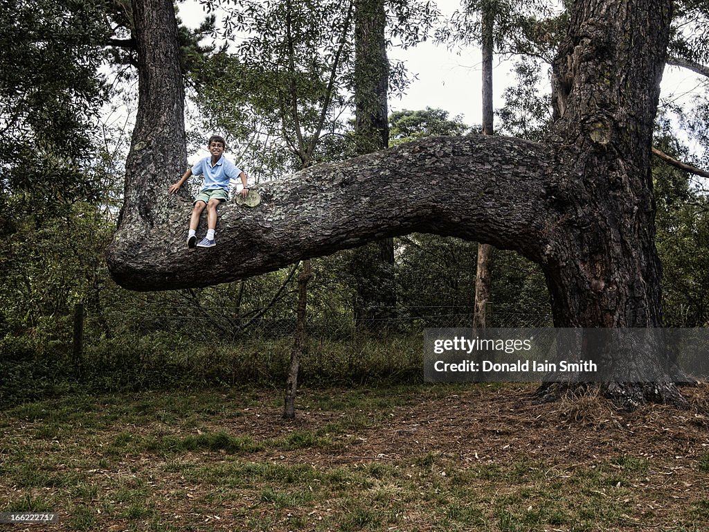 Boy in tree