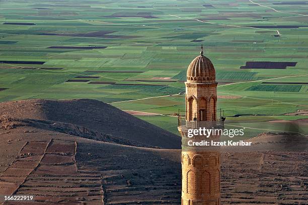 ulu mosque and mesopotamia - mesopotamian ストックフォトと画像