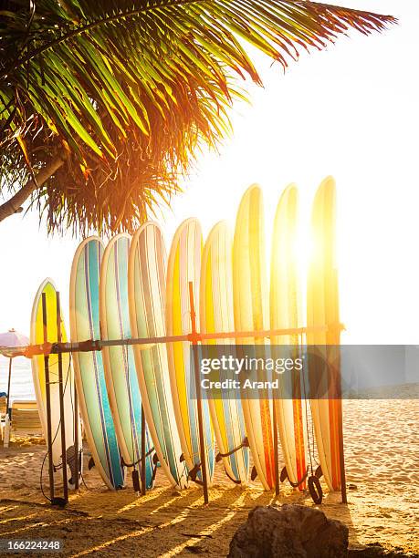 surfboards at ocean beach - surfboard stock pictures, royalty-free photos & images