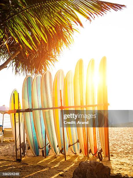 surfboards at ocean beach - surfbräda bildbanksfoton och bilder