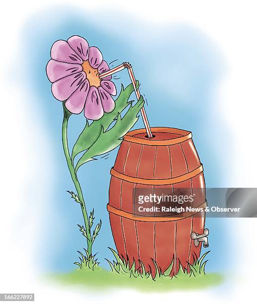 Shannon Niedling color illustration of flower sipping water through a straw in rain barrel.