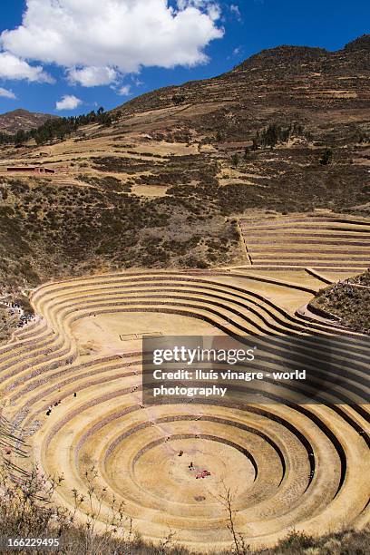terraces at moray, inca archaeological site - moray inca ruin stock pictures, royalty-free photos & images